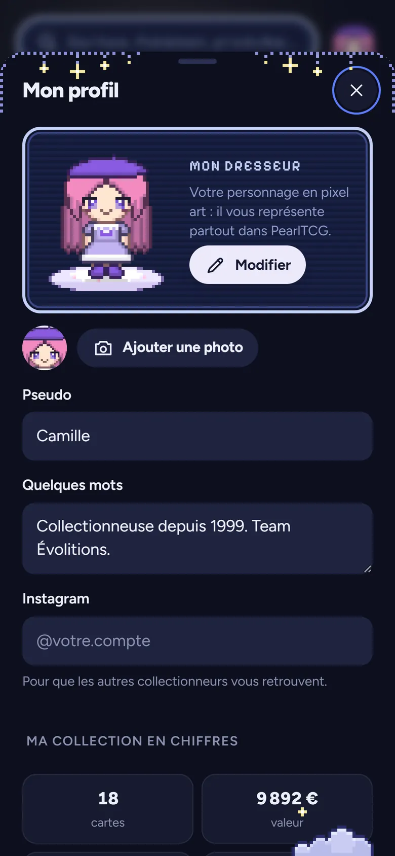 Profil avec un dresseur en pixel art, décor Nuit étoilée
